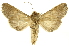  ( - INBIOCRI000956816)  @11 [ ] Copyright (2012) J. Montero INBio