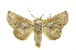  ( - INBIOCRI000956864)  @14 [ ] Copyright (2012) Juan Mata Lorenzen INBio