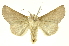  ( - INBIOCRI000956864)  @14 [ ] Copyright (2012) Juan Mata Lorenzen INBio