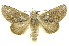  ( - INBIOCRI000958599)  @14 [ ] Copyright (2012) Juan Mata Lorenzen INBio