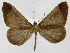  ( - INBIOCRI000959260)  @11 [ ] Copyright (2012) J. Montero Instituto Nacional de Biodiversidad