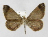  ( - INBIOCRI000959260)  @11 [ ] Copyright (2012) J. Montero Instituto Nacional de Biodiversidad