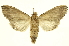  ( - INBIOCRI000963833)  @12 [ ] Copyright (2012) J. Montero INBio