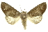  ( - INBIOCRI000969957)  @14 [ ] Copyright (2012) Juan Mata Lorenzen INBio