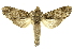  ( - INBIOCRI000997416)  @14 [ ] Copyright (2012) Juan Mata Lorenzen INBio
