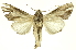  ( - INBIOCRI001073624)  @11 [ ] Copyright (2012) Juan Mata Lorenzen INBio