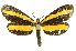  ( - INBIOCRI001073642)  @11 [ ] Copyright (2012) Juan Mata Lorenzen INBio