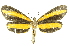  ( - INBIOCRI001073642)  @11 [ ] Copyright (2012) Juan Mata Lorenzen INBio