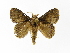  ( - INBIOCRI001074644)  @11 [ ] Copyright (2012) J. Montero Instituto Nacional de Biodiversidad