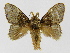  ( - INBIOCRI001075112)  @14 [ ] Copyright (2012) J. Montero Instituto Nacional de Biodiversidad