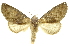  ( - INBIOCRI001132143)  @15 [ ] Copyright (2012) Juan Mata Lorenzen Unspecified