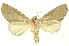  ( - INBIOCRI001132143)  @15 [ ] Copyright (2012) Juan Mata Lorenzen Unspecified