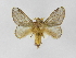  ( - INBIOCRI001132190)  @13 [ ] Copyright (2012) J. Montero Instituto Nacional de Biodiversidad