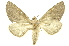  ( - INBIOCRI001150280)  @13 [ ] Copyright (2012) Juan Mata Lorenzen INBio
