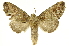  ( - INBIOCRI001152816)  @14 [ ] Copyright (2012) J. Montero INBio