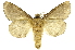  ( - INBIOCRI001189802)  @11 [ ] Copyright (2012) J. Montero INBio