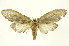  ( - INBIOCRI001194968)  @13 [ ] Copyright (2012) Juan Mata Lorenzen INBio