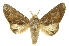  ( - INBIOCRI001201035)  @14 [ ] Copyright (2012) Juan Mata Lorenzen INBio
