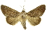  ( - INBIOCRI001205105)  @14 [ ] Copyright (2012) Juan Mata Lorenzen Unspecified