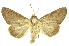  ( - INBIOCRI001205105)  @14 [ ] Copyright (2012) Juan Mata Lorenzen Unspecified