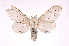  ( - INBIOCRI001207043)  @14 [ ] Copyright (2012) J. Montero Instituto Nacional de Biodiversidad
