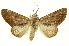  ( - INBIOCRI001210826)  @15 [ ] Copyright (2012) Juan Mata Lorenzen INBio
