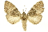  ( - INBIOCRI001211824)  @13 [ ] Copyright (2012) J. Montero INBio