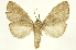  ( - INBIOCRI001211824)  @14 [ ] Copyright (2012) J. Montero INBio