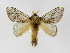  ( - INBIOCRI001287683)  @14 [ ] Copyright (2012) J. Montero Instituto Nacional de Biodiversidad