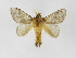  ( - INBIOCRI001287683)  @13 [ ] Copyright (2012) J. Montero Instituto Nacional de Biodiversidad