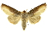  ( - INBIOCRI001293437)  @14 [ ] Copyright (2012) Juan Mata Lorenzen INBio