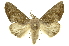  ( - INBIOCRI001293440)  @14 [ ] Copyright (2012) Juan Mata Lorenzen INBio