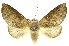  ( - INBIOCRI001293521)  @14 [ ] Copyright (2012) Juan Mata Lorenzen Unspecified