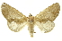  ( - INBIOCRI001293589)  @14 [ ] Copyright (2012) Juan Mata Lorenzen Unspecified