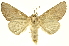  ( - INBIOCRI001294431)  @14 [ ] Copyright (2012) Juan Mata Lorenzen INBio
