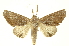  ( - INBIOCRI001295671)  @11 [ ] Copyright (2012) Juan Mata Lorenzen INBio