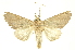  ( - INBIOCRI001295671)  @11 [ ] Copyright (2012) Juan Mata Lorenzen INBio