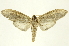  ( - INBIOCRI001299435)  @14 [ ] Copyright (2012) Juan Mata Lorenzen INBio
