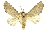  ( - INBIOCRI001300018)  @13 [ ] Copyright (2012) Juan Mata Lorenzen INBio