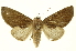  ( - INBIOCRI001328714)  @11 [ ] Copyright (2012) Juan Mata Lorenzen INBio