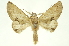  ( - INBIOCRI001328877)  @11 [ ] Copyright (2012) Juan Mata Lorenzen INBio
