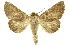  ( - INBIOCRI001329016)  @14 [ ] Copyright (2012) Juan Mata Lorenzen Unspecified