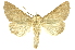  ( - INBIOCRI001329016)  @14 [ ] Copyright (2012) Juan Mata Lorenzen Unspecified