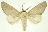  ( - INBIOCRI001329750)  @14 [ ] Copyright (2012) Juan Mata Lorenzen INBio