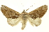  ( - INBIOCRI001332806)  @14 [ ] Copyright (2012) Juan Mata Lorenzen INBio