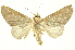  ( - INBIOCRI001332806)  @13 [ ] Copyright (2012) Juan Mata Lorenzen INBio