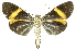  ( - INBIOCRI001341690)  @13 [ ] Copyright (2012) Juan Mata Lorenzen Unspecified