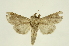  ( - INBIOCRI001372487)  @13 [ ] Copyright (2012) J. Montero INBio
