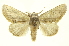 ( - INBIOCRI001374452)  @11 [ ] Copyright (2012) Juan Mata Lorenzen Unspecified