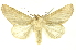 ( - INBIOCRI001374452)  @11 [ ] Copyright (2012) Juan Mata Lorenzen Unspecified